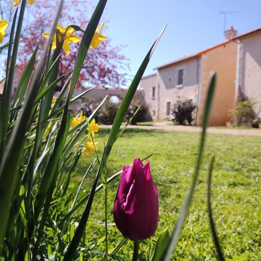 Au Repos Des Elfes Villa Braye-sous-Faye Exterior photo